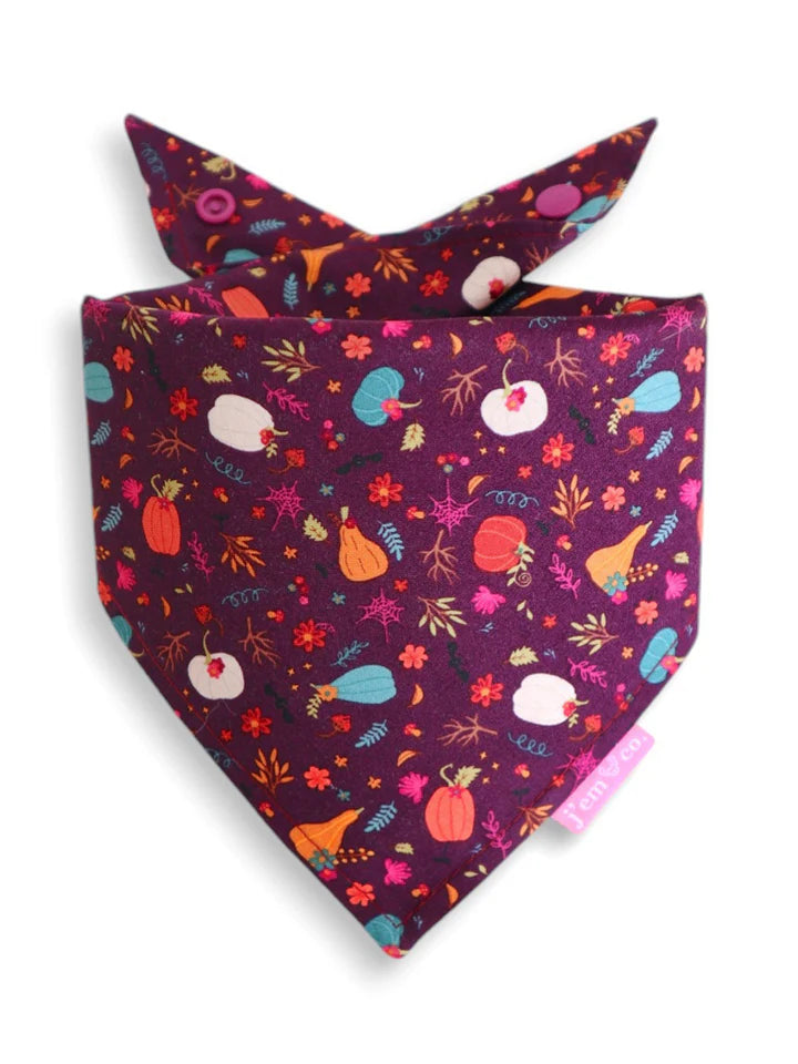 J'em & Co Bandana Squash Attack