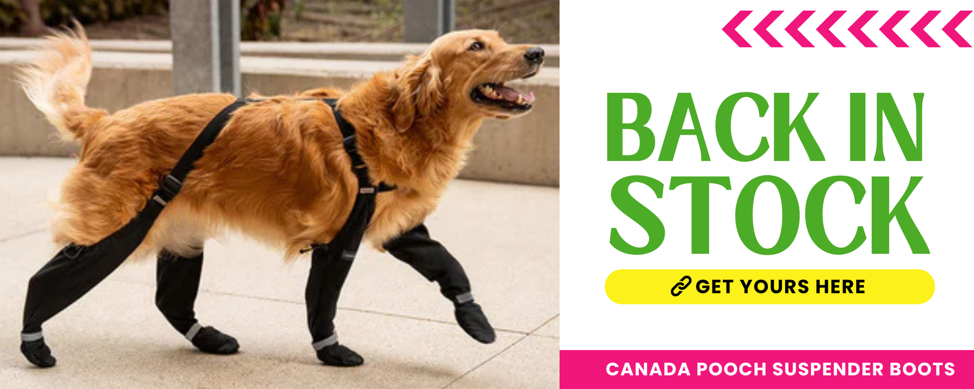 Dog treat shops near me deals