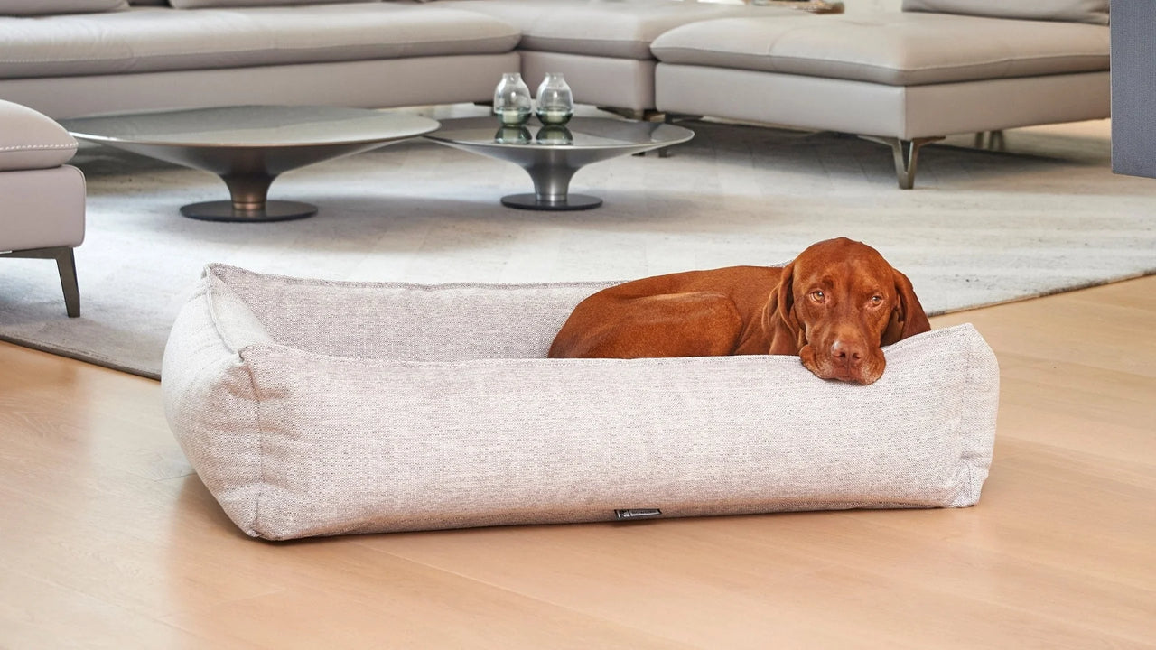 Bowsers Urban Lounger Bed