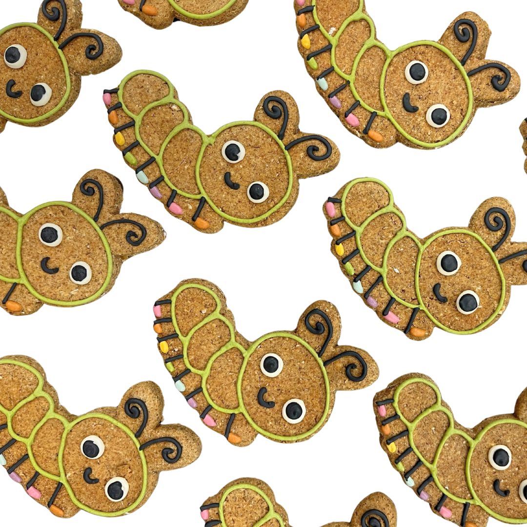 Cheddar Apple Caterpillar
