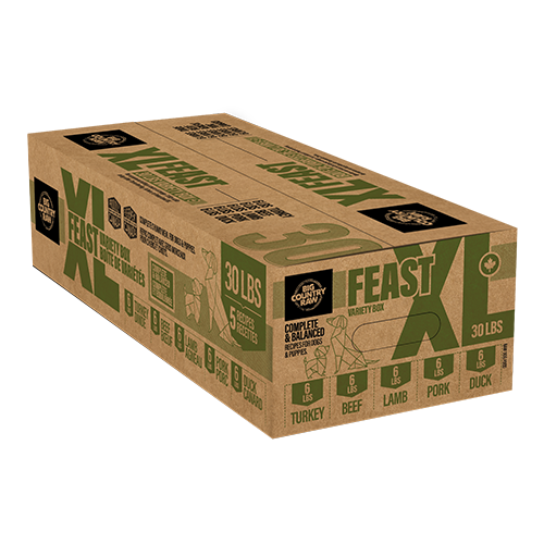 Big Country Raw Grab N Go XL Feast *SPECIAL ORDER*
