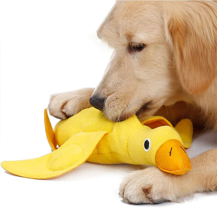 Injoya Duck Snuffle Toy