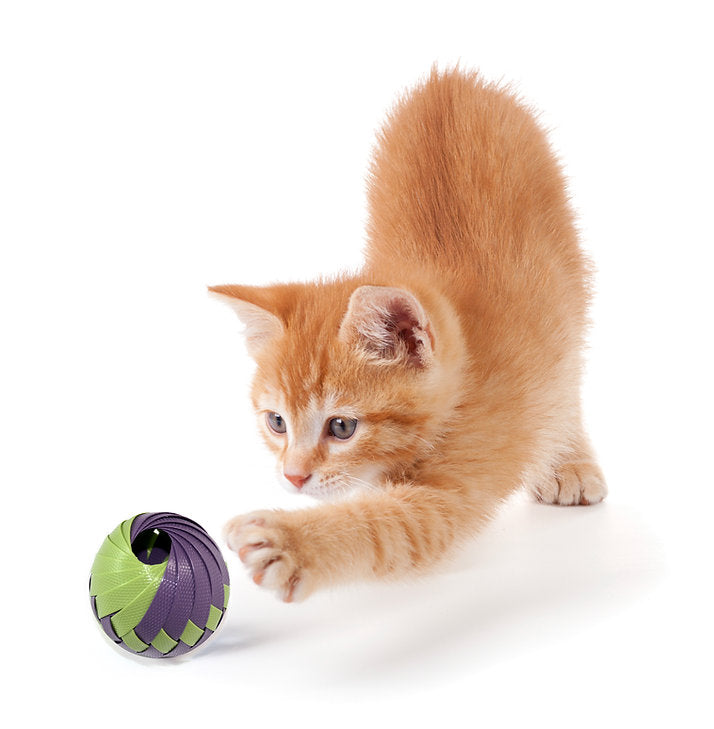 Goli Design Roli Treat Balls