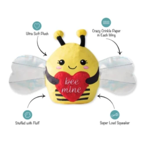 Fringe Dog Toy Valentines Buzzing For You
