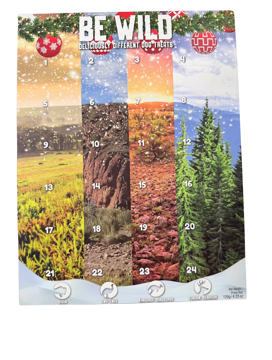 This & That Be Wild Advent Calendar