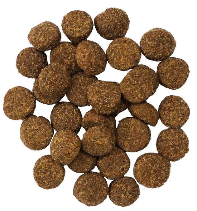 Go Dog Digestion + Gut Health Salmon *SPECIAL ORDER*