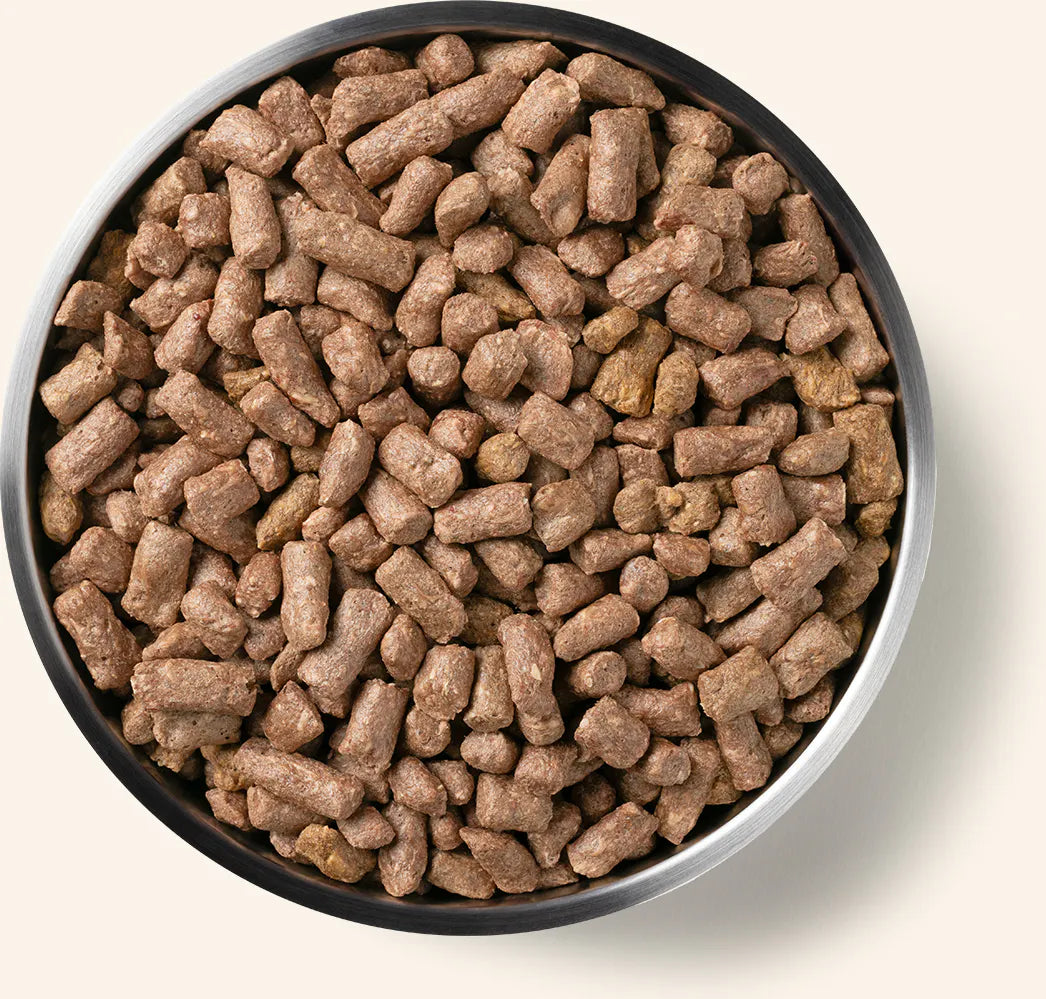 Vital Essentials Dog Freeze Dried Mini Nibs Beef *SPECIAL ORDER*