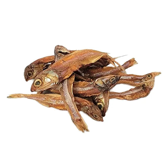 Puppy World Sardines