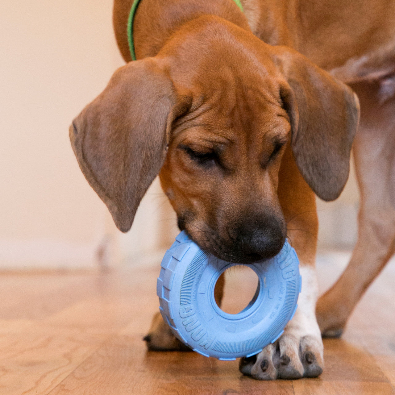 KONG Dog Toy Puppy Tires