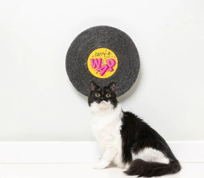 FuzzYard Record Cat Scratcher