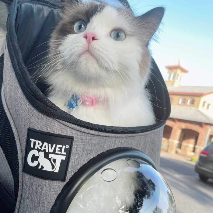 Travel Cat Backpack Mini - Heather Grey