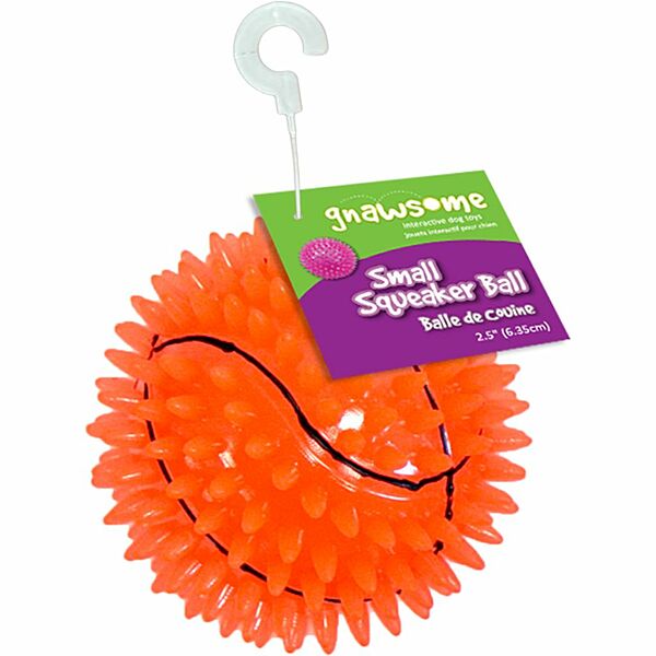 Gnawsome Dog Toy Basketball Squeak & Light