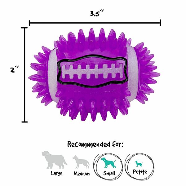 Gnawsome Dog Toy Football Squeak & Light