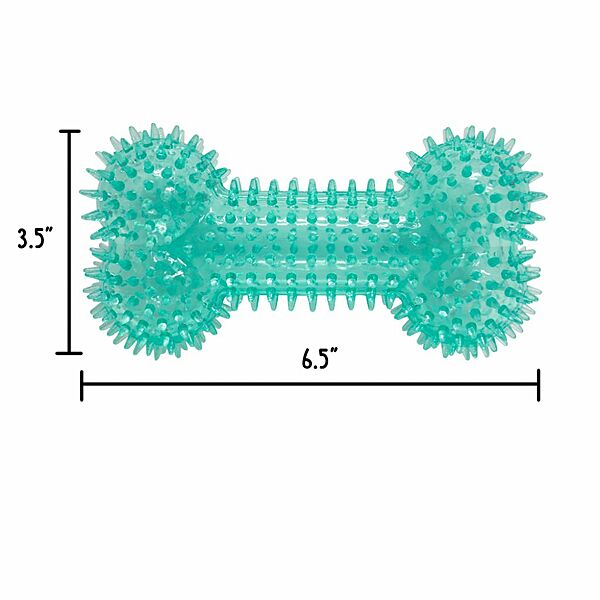 Gnawsome Dog Toy Squeaker Bone Medium