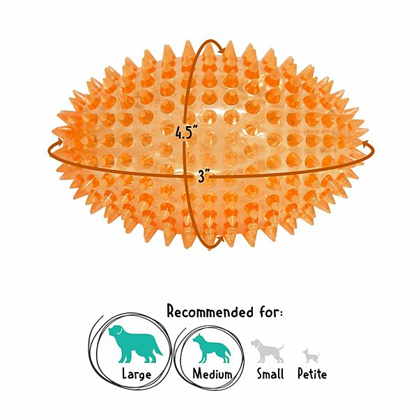 Gnawsome Dog Toy Football Squeak Medium