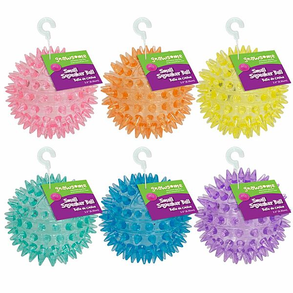 Gnawsome Dog Toy Squeak Ball