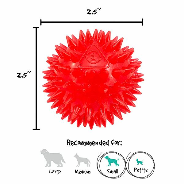 Gnawsome Dog Toy Squeak and Light Ball