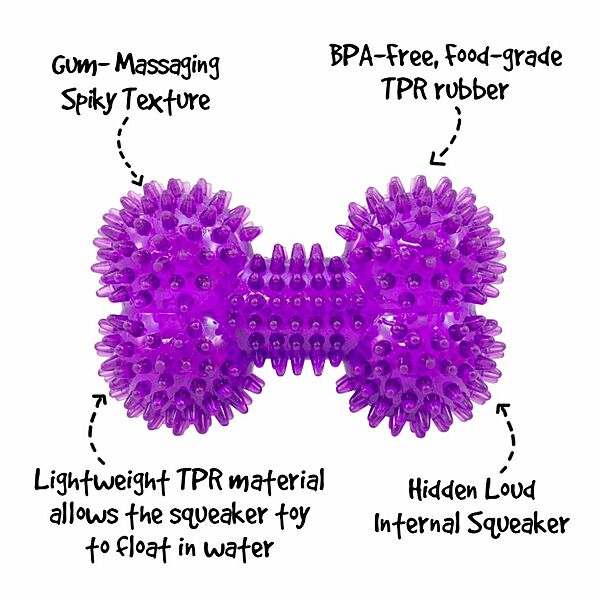 Gnawsome Dog Toy Squeaker Bone Small