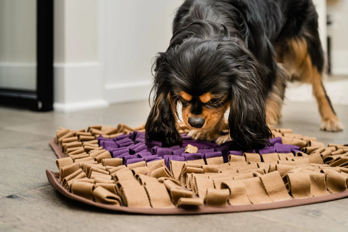 Injoya PB&J Snuffle Mat