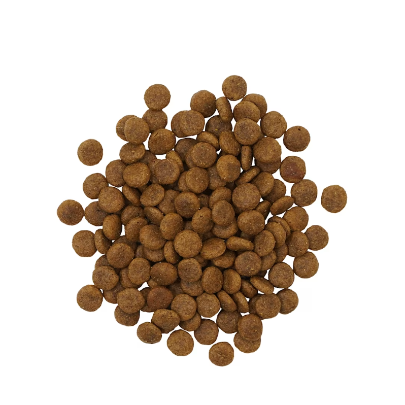 Go Dog Limited Ingredient Insect *SPECIAL ORDER*