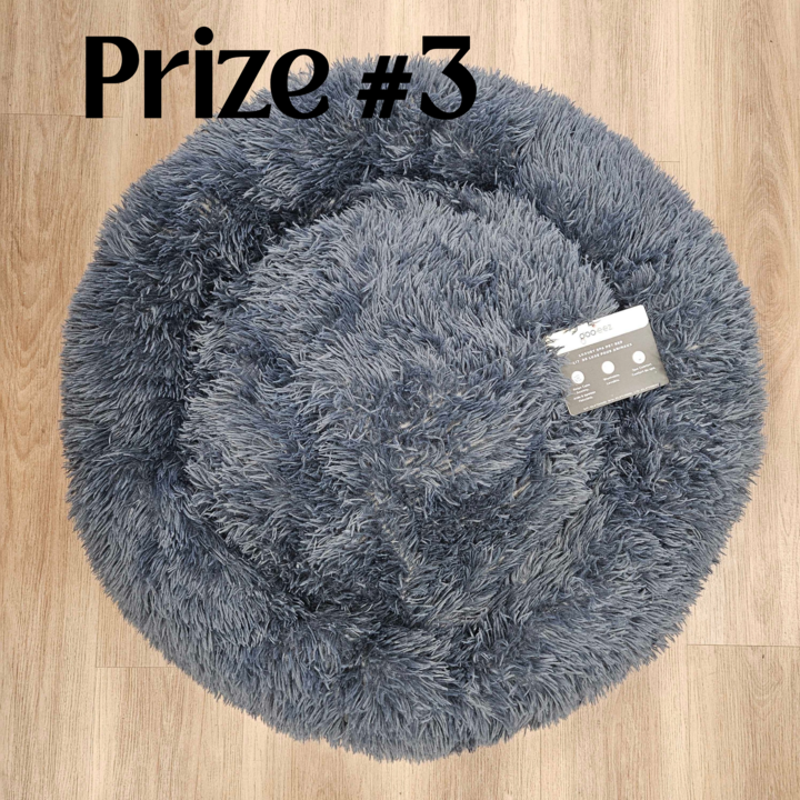 2026 Puppy Pancake Day Raffle Tickets