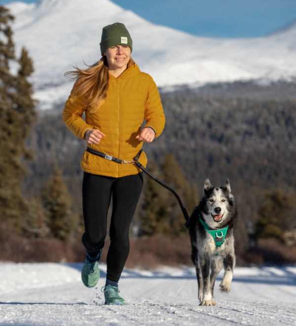 RC Pets Bungee Active Leash