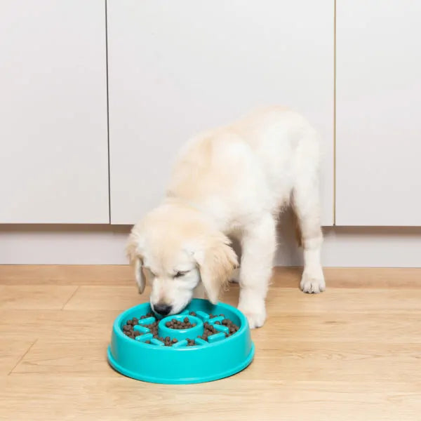 ZippyPaws Happy Bowl Slow Feeder Donut