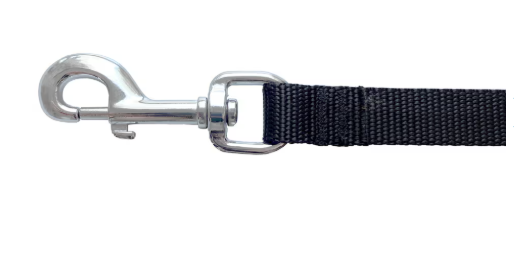 RC Pets Training Leash