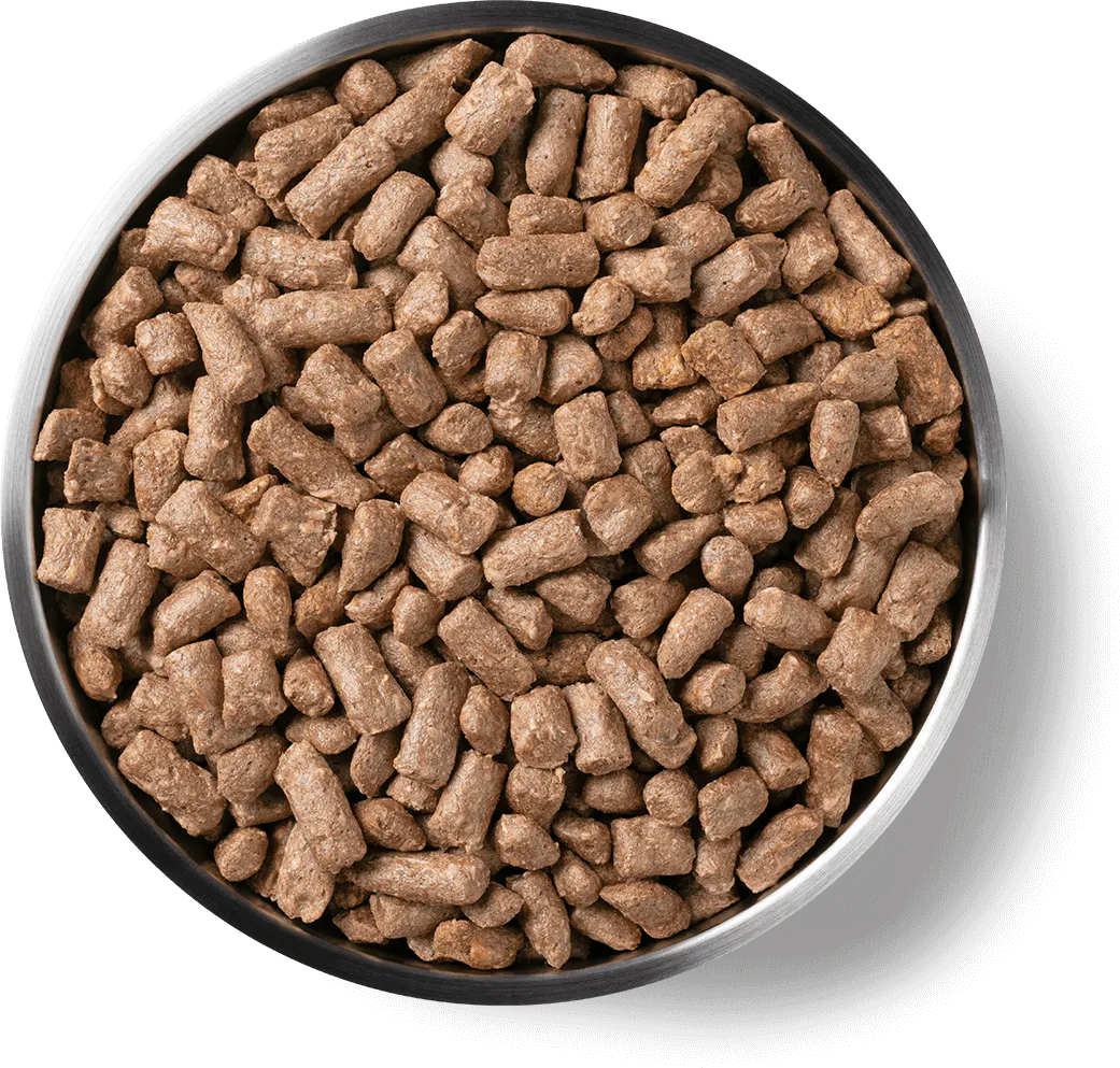 Vital Essentials Cat Freeze Dried Mini Nibs Chicken *SPECIAL ORDER*