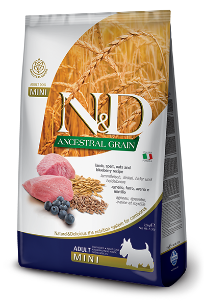 Farmina N&D Dog Ancestral Grain Lamb & Blueberry Adult Mini *SPECIAL ORDER*