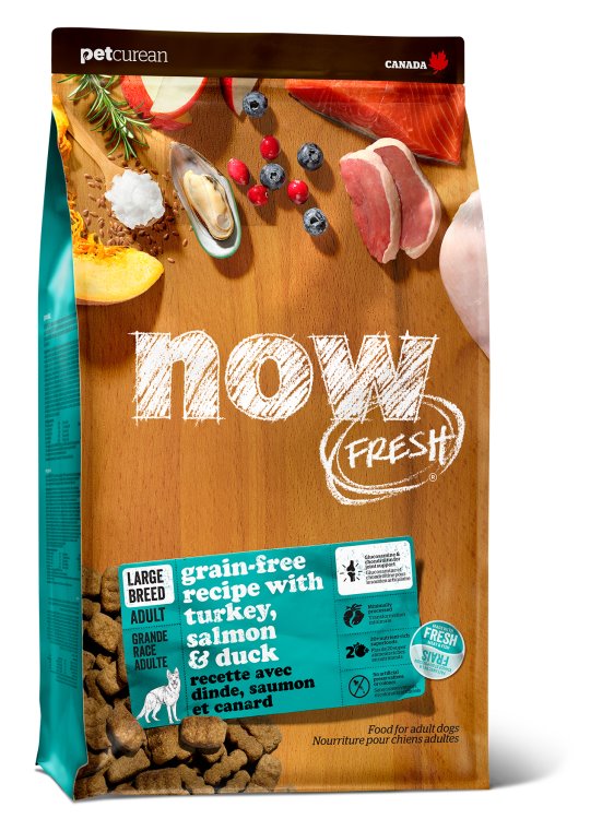 Now Fresh Adult Large Breed for Dogs