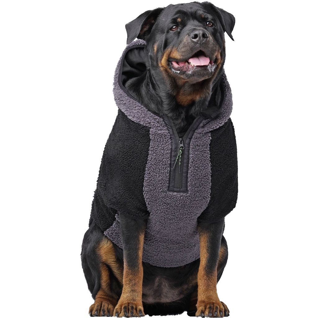 Canada Pooch Cool Factor Hoodie WEBSITE ONLY (6074031898797)