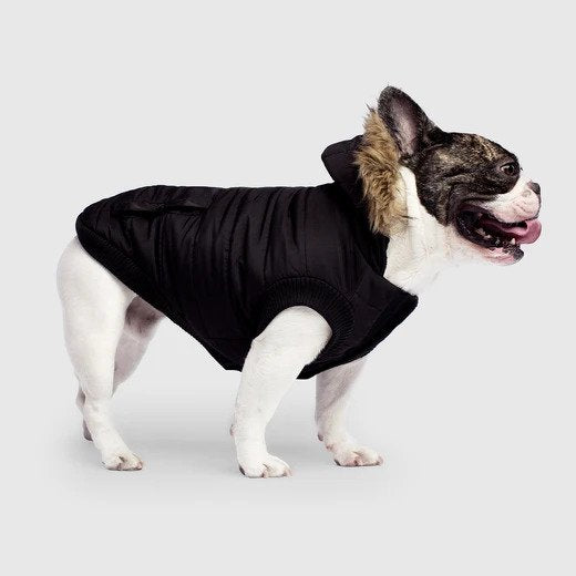Canada Pooch North Pole Parka WEBSITE ONLY (6073999163565)
