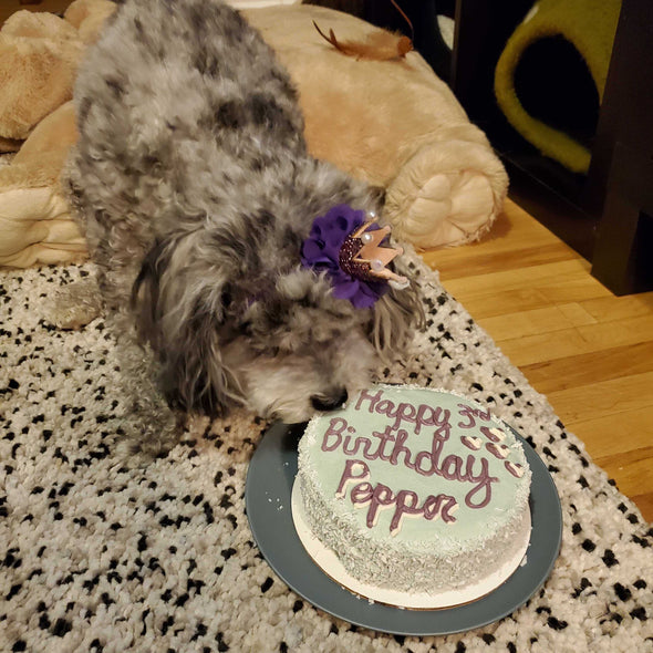 5" Round Shaped Doggy Birthday Cake