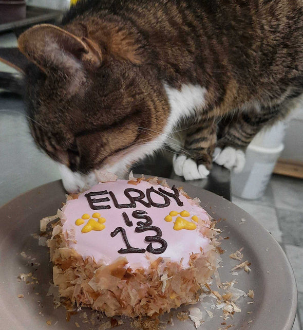 Kitty Birthday Cake