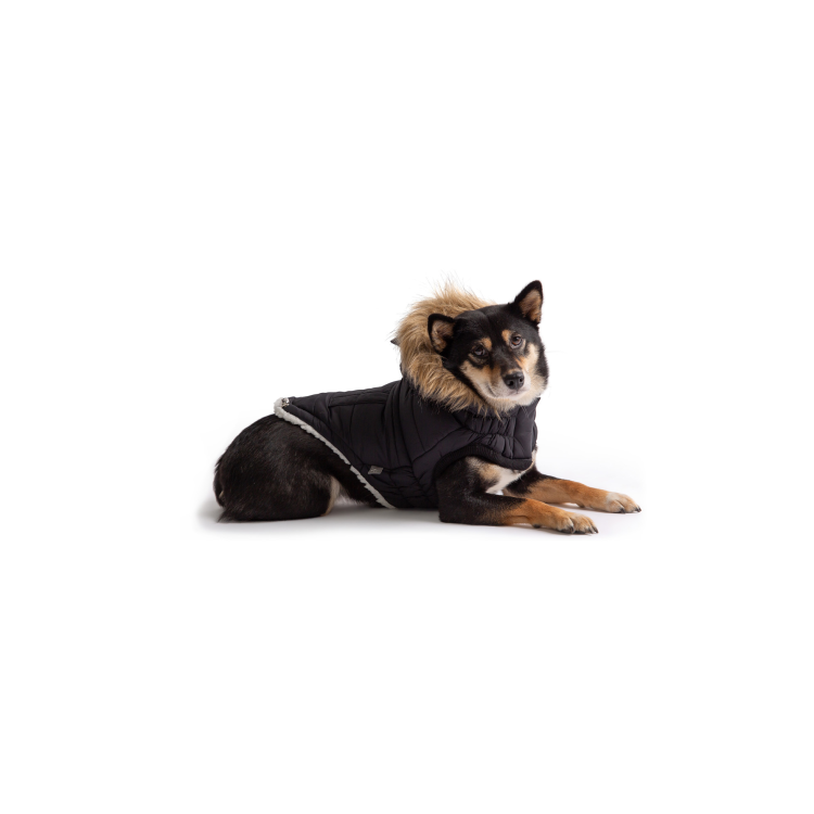 Aspen parka 2025 dog coat