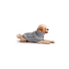 GF Pet Chalet Sweater WEBSITE ONLY (6074116505773)