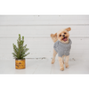 GF Pet Chalet Sweater WEBSITE ONLY (6074116505773)