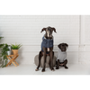 GF Pet Chalet Sweater WEBSITE ONLY (6074116505773)