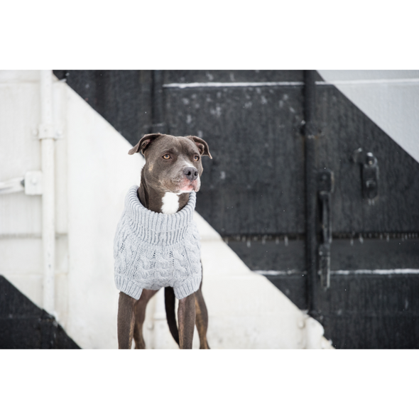 GF Pet Chalet Sweater WEBSITE ONLY (6074116505773)