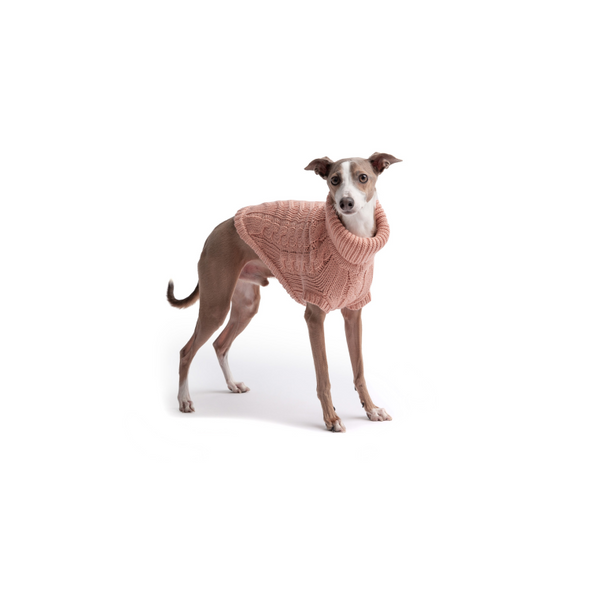 GF Pet Chalet Sweater WEBSITE ONLY (6074116505773)