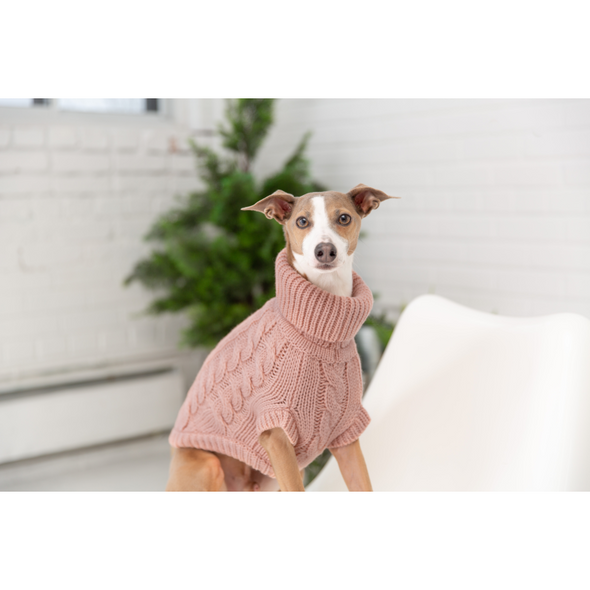 GF Pet Chalet Sweater WEBSITE ONLY (6074116505773)