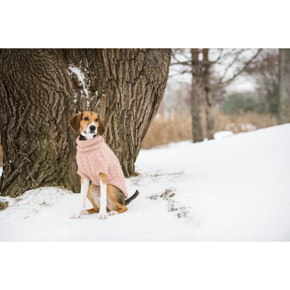 GF Pet Chalet Sweater WEBSITE ONLY (6074116505773)