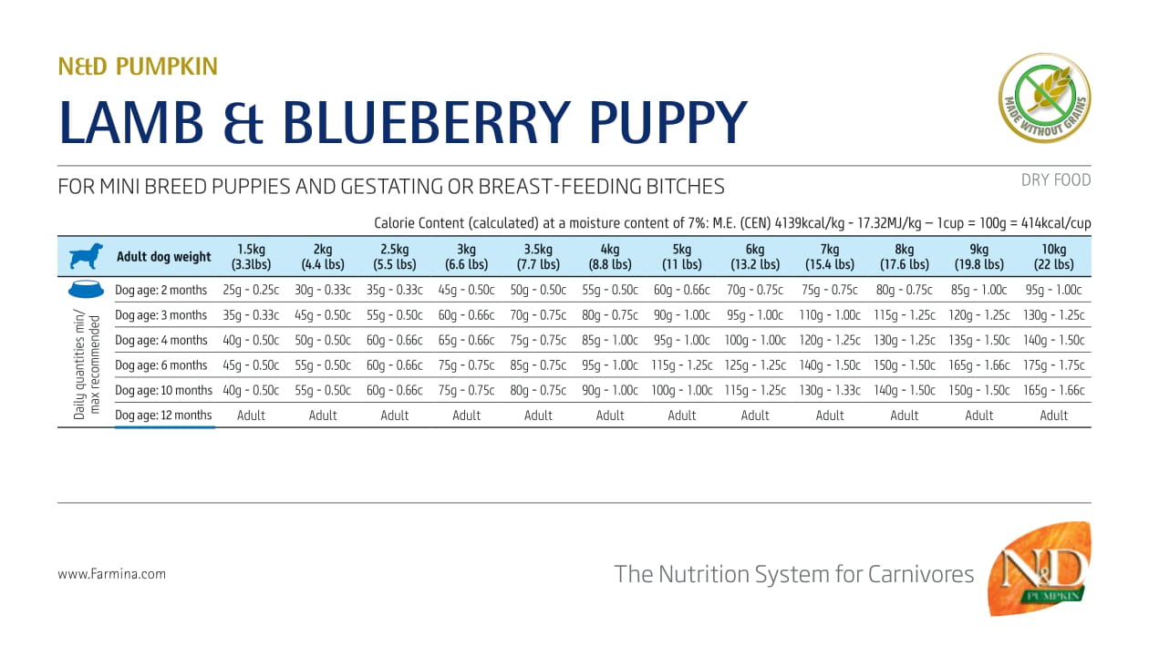 Farmina N&D Dog Pumpkin Lamb & Blueberry Puppy Mini