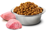 Farmina N&D Wild Boar, Pumpkin and Apple for Dogs (4789779955771)