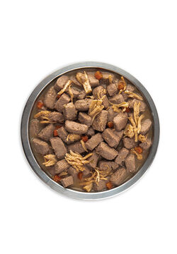 ORIJEN® Chicken Recipe Stew with Shredded Chicken & Eggs for Dogs