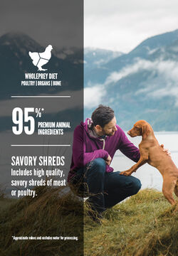 ORIJEN® Chicken Recipe Stew with Shredded Chicken & Eggs for Dogs