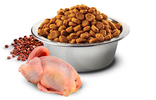 Farmina N&D Quinoa Skin & Coat Quail for Dogs (4789781004347)