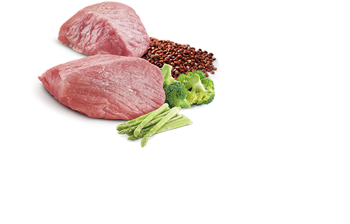 N&d weight sales management cat food