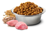 Farmina N&D Ancestral Grain Lamb, Spelt, Oats and Blueberry for Dogs (4789776547899)